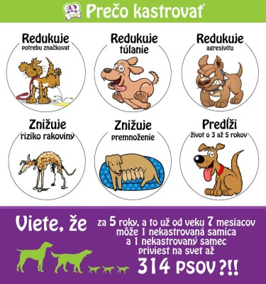 kastracia-sterilizacia-veterinarna-klinika-vinohrady-nove-zamky